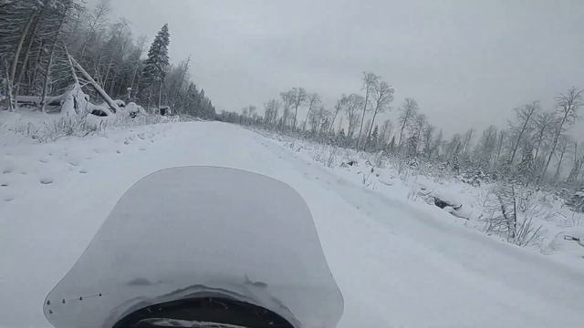 снегоход SM-002.Заезжали в лес на два дня, выгулять снежики. смотреть онлайн