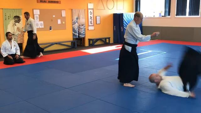 Henry Lynch 6th Dan, Aikido Demonstration (2019) смотреть онлайн