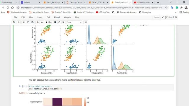 Task 6 - DecisionTree Iris смотреть онлайн