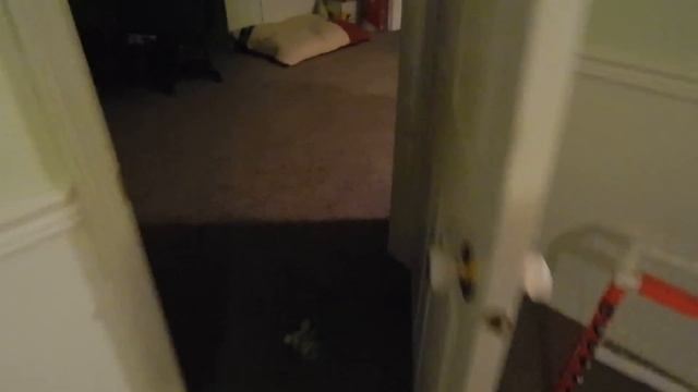 Update:New Full HD Camera! (Nikon Coolpix L820)