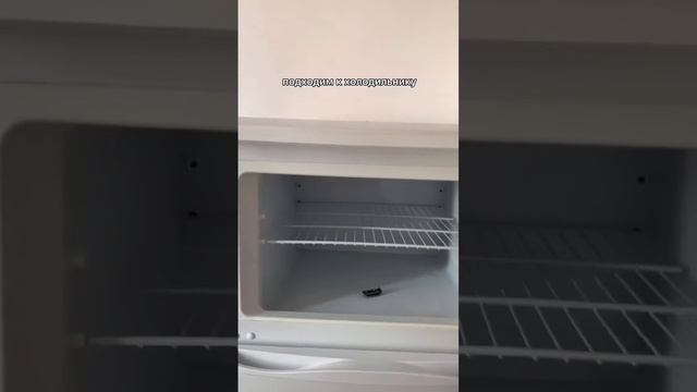 Краш тест Arduino #shorts #ардуино #электроника #dht11 #arduino #arduinoprojects смотреть онлайн