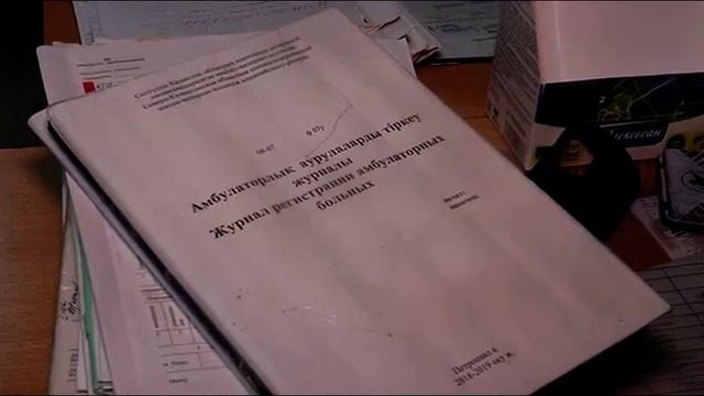 Готовить тренеров по 9 олимпийским видам спорта теперь будут в СКО смотреть онлайн