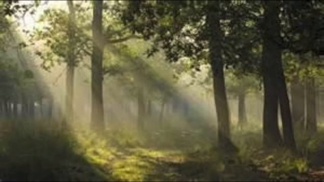 F Chopin Mazurka Op 68 No 2 смотреть онлайн