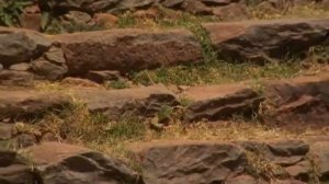 ЗАПРЕТНЫЕ ТЕМЫ ИСТОРИИ  Ковчег завета Эфиопский след