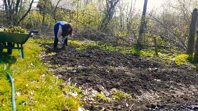 ВЛОГ:"ПРИШЁЛ ГЕРАКЛ 2.05.2020/ ПЕРЕДВИГАЕМ  БЕТОННОЕ КОЛЬЦО/ ПОСАДИЛИ КАПУСТУ ." смотреть онлайн