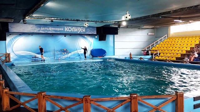 Отпуск на море🏖️день отдыхающих - дельфинарий, дайвинг, море...... смотреть онлайн