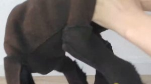 Мастер класс мягкая игрушка. Реалистичная собака.