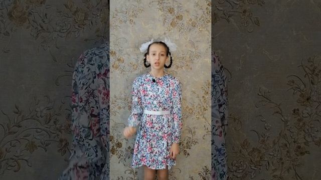 543 Тарасова Яна  Краснодарский край «Суп с котом»