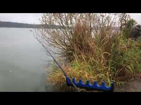 Осенний фидер/ Рыбалка в сильный дождь смотреть онлайн