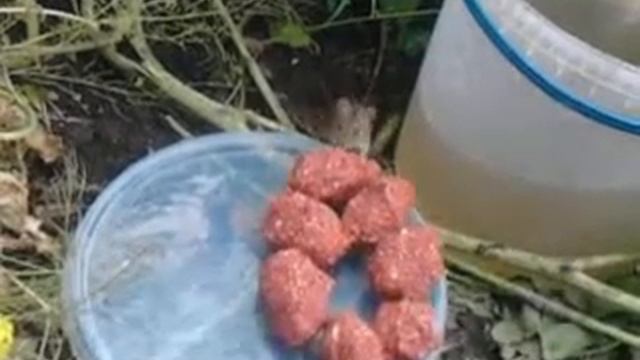 Случай на рыбалке смотреть онлайн