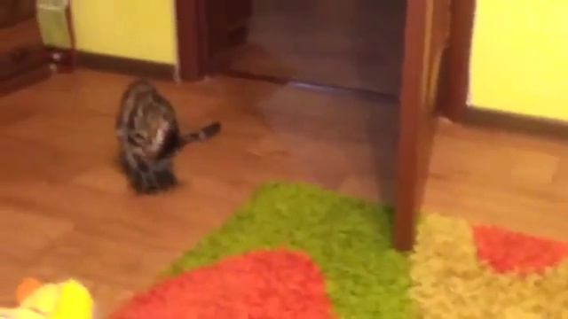 Что за движения в воздухе улавливает камера Пыль или нечто другое смотреть онлайн