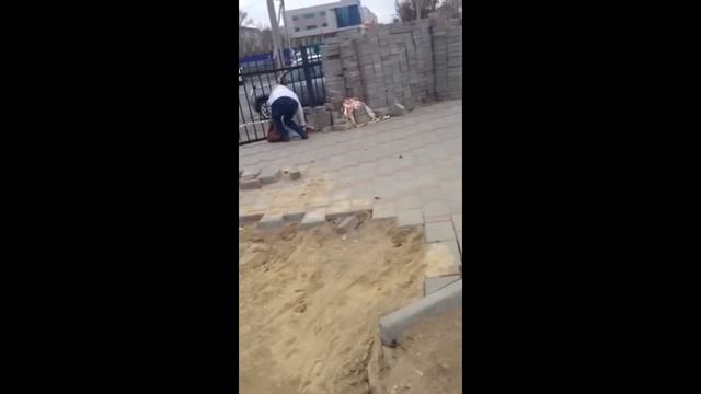 Сахалинка крадет тротуарную плитку с улицы города смотреть онлайн