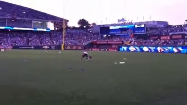 Pitbull 4 dog jam смотреть онлайн