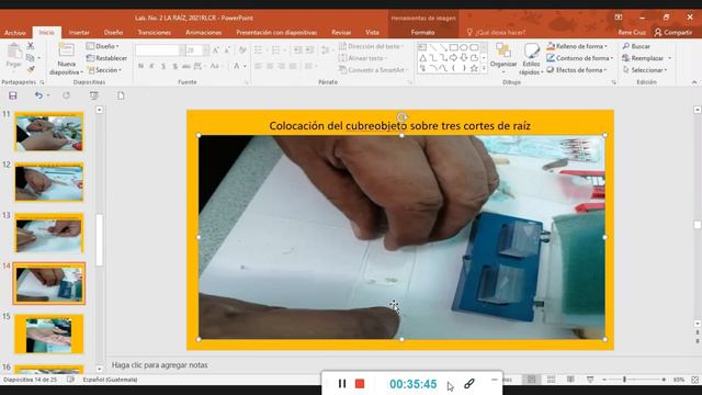 Segunda Practica de Botánica смотреть онлайн