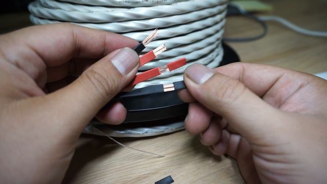 Wireworld Luna 7 Speaker Cable