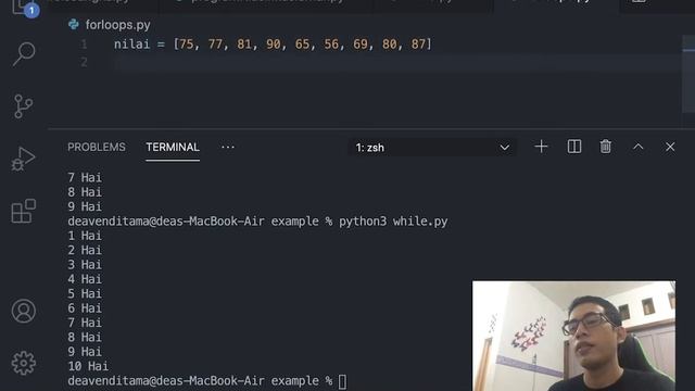 4. Python 3 Loops While dan For смотреть онлайн