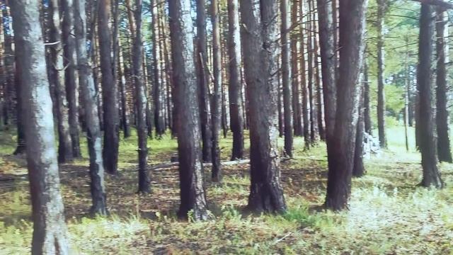 родной край смотреть онлайн