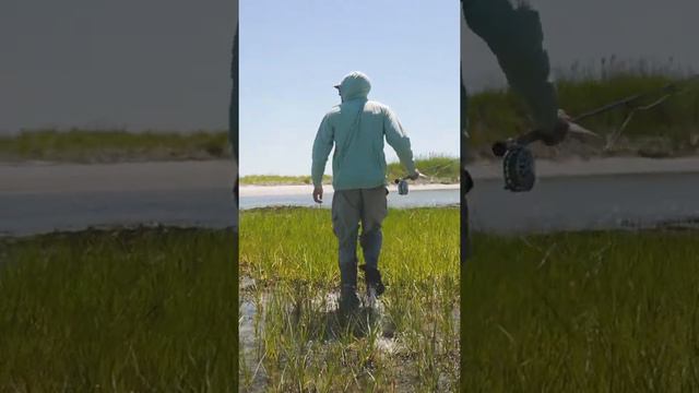 Most Popular Fish in the Chesapeake Bay смотреть онлайн