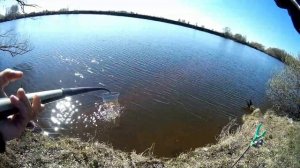 Ловля леща и густеры на фидер весной, на нижней Москве-реке-2.