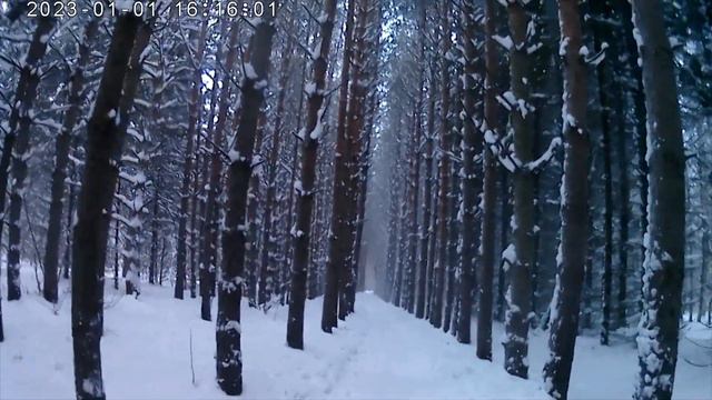 Если в городе твоем снег... смотреть онлайн