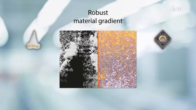 GARANT HB7020: новый токарный сплав смотреть онлайн