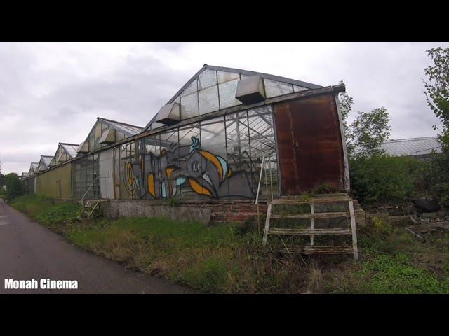 Прогулка по Тимирязевской академии уже после Г. Золиной смотреть онлайн