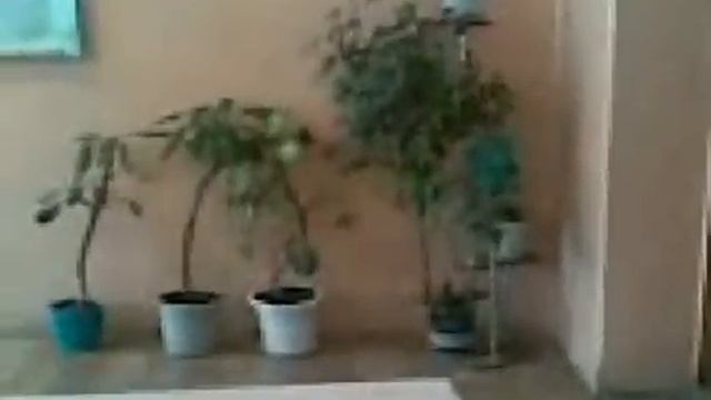 омон 31 школы г.Владикавказ смотреть онлайн