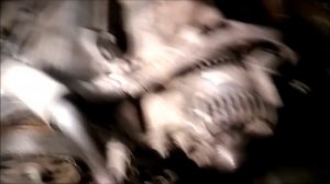 Tойота ожила! Меняю помпу 4S-FE