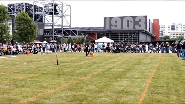 Vintage Field Games - T-Ball - 7-11-15 смотреть онлайн