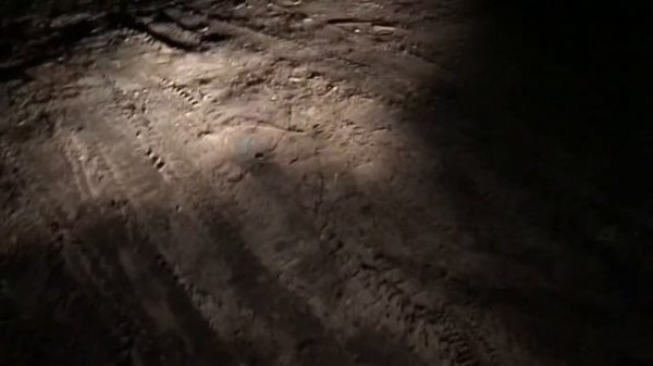 Koito whitebeam или штатные галогеновые лампы? Что выбрать?