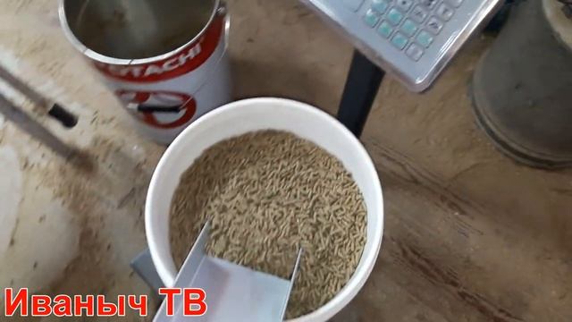 Гранулятор. Изготовление гранул. Комбикорм для кроликов и кур смотреть онлайн
