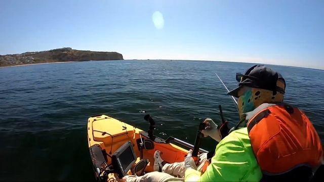 Kayak Fishing The Dana Point Kelp Beds For Sheephead, #danapoint #sheephead смотреть онлайн