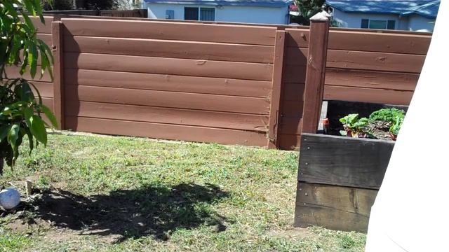 Review of EGO 56 Volt String Trimmer - 30 minutes of use (2 of 3) смотреть онлайн