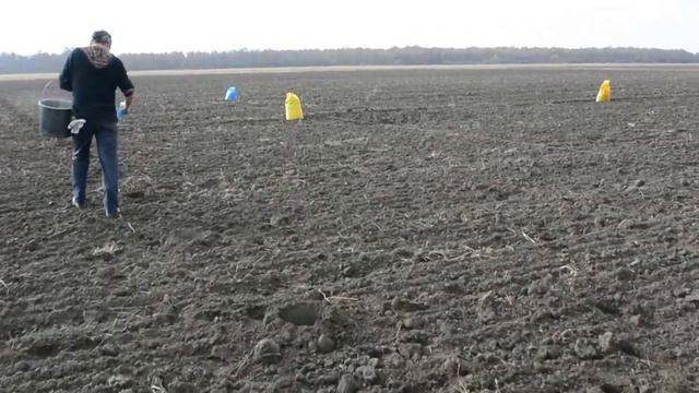 Cea mai rapida tehnica de înființare a unei plantatii de Aronia melanocarpa Nero in sistem Ecologic смотреть онлайн