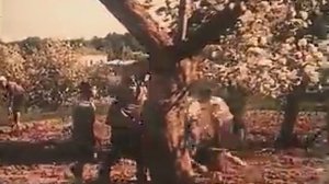 Педагогическая поэма. Макаренко А.С.