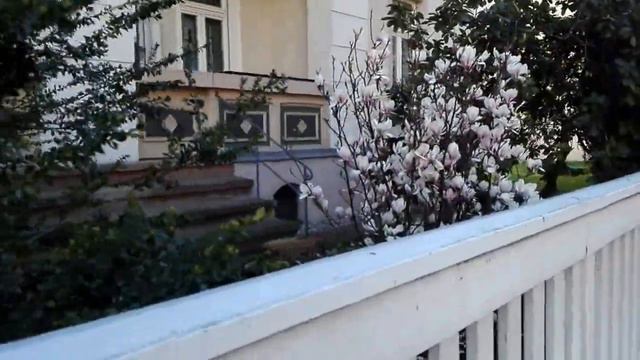 Магнолия!! смотреть онлайн