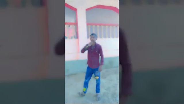 https://media.tenor.com/HpP1wR19h3IAAAAM/dance-maracas.gif смотреть онлайн