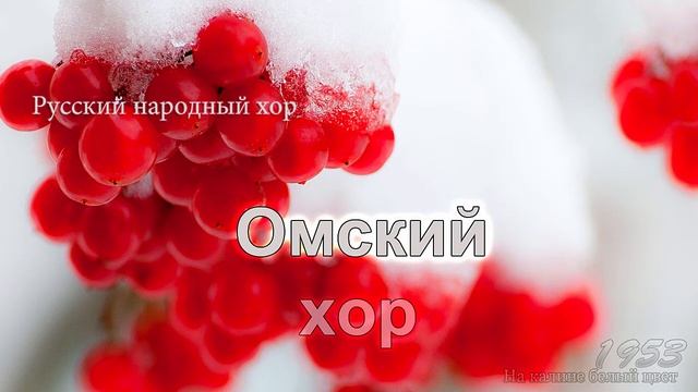 Омский хор - На калине белый цвет смотреть онлайн