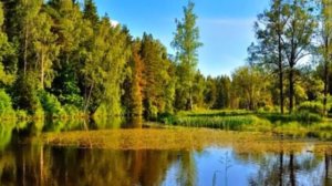 ,,Над МОСКВОЙ-РЕКОЙ заря«Собанцева Валентина засл арт.России