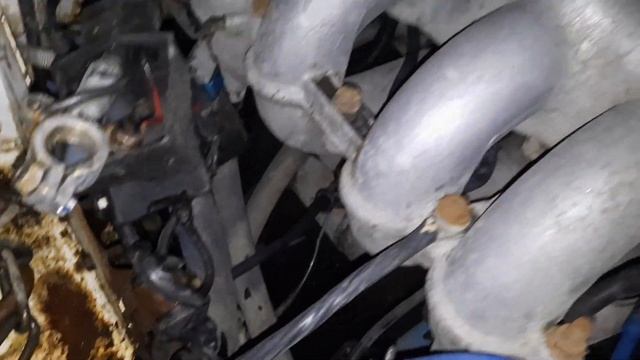 Форд ЭкоСпорт 2018. Ford EcoSport 2018. Сетка в бампер. Мойка моторного отсека