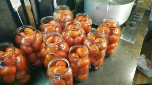 ПЕРЕПРОБОВАЛ КУЧУ РЕЦЕПТОВ А ЛУЧШЕ ЭТОГО НЕ НАШЕЛ! МАРИНОВАННЫЕ ПОМИДОРЫ НА ЗИМУ БЕЗ СТЕРИЛИЗАЦИИ!