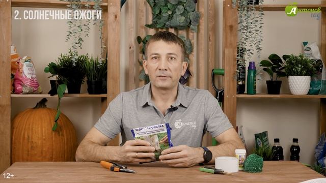 Как защитить деревья зимой от подмерзания ожогов и грызунов? Лечение морозобоин на деревьях смотреть онлайн