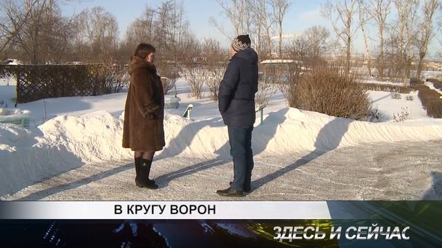 в кругу ворон смотреть онлайн