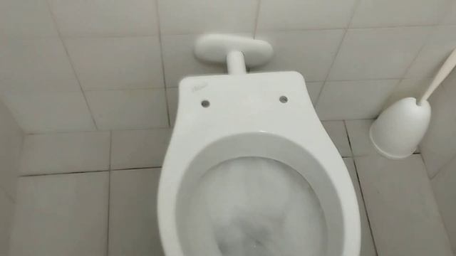 ITALY TOILET 6 = Dolomite Toilet And Twyford Flushing System At The High School смотреть онлайн