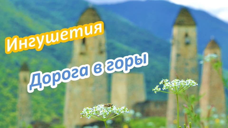 Кавказ 2022