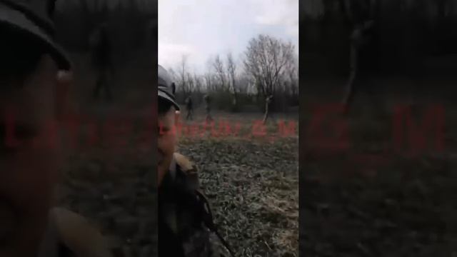 ВСУ идёт стройными рядами на обед к ВС РФ смотреть онлайн