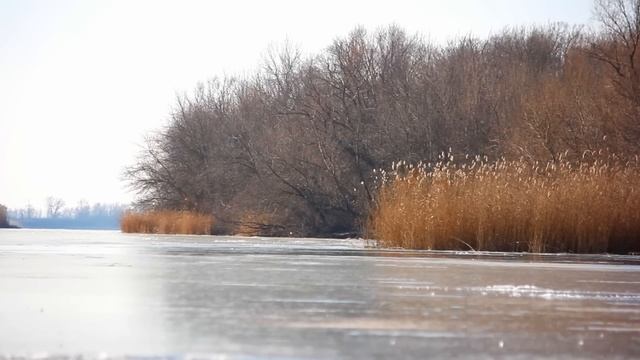 ЗАЧЁТНАЯ ТАРАНЬ Зимняя Рыбалка в Палатке БАТОНЫ АТАКУЮТ ЩУКА ОКУНЬ КАРАСЬ смотреть онлайн
