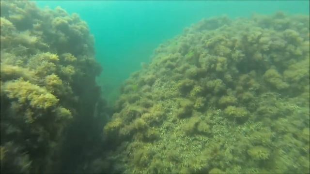 Плавание спецкурс ( часть 1).