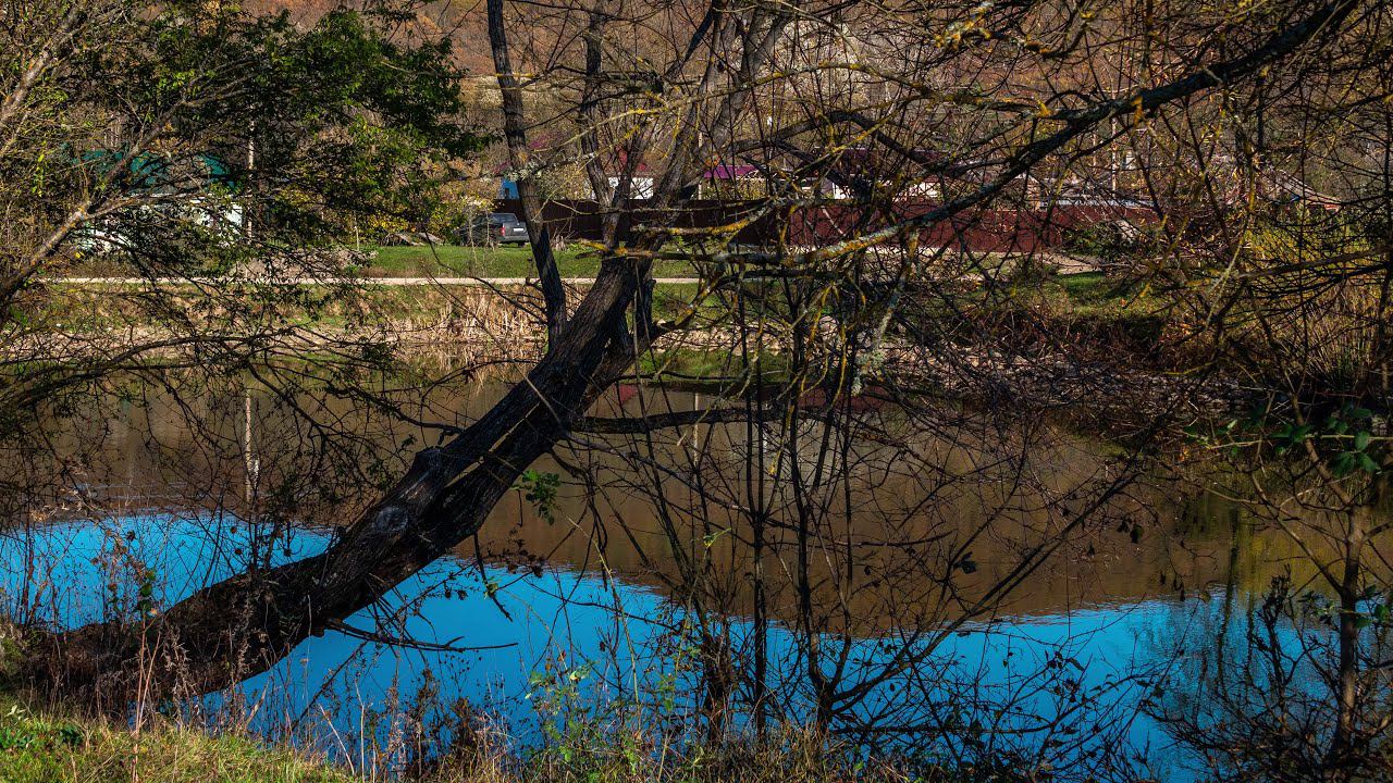 Грибные пригороды Краснодара - хутор Мирный в лесах Западного Кавказа смотреть онлайн