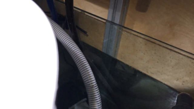 2.5 месяца в новом аквариуме смотреть онлайн